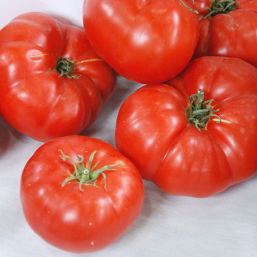 Tomato Seeds – Box Car Willie