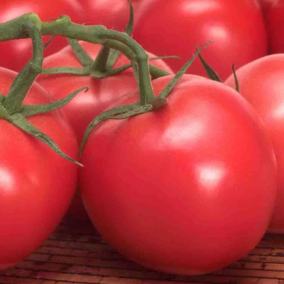 Tomato Seeds – Box Car Willie