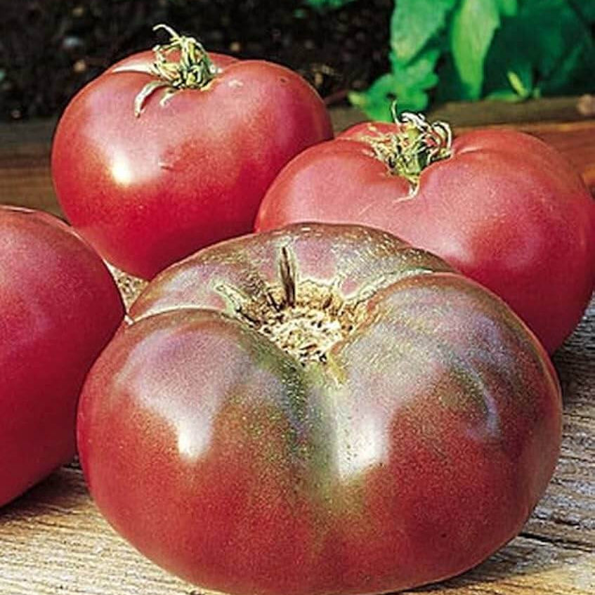 Tomato Seeds – Cherokee