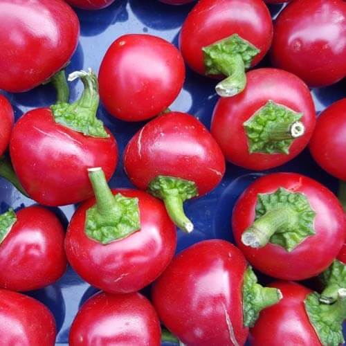 Tomato Seeds – Chili