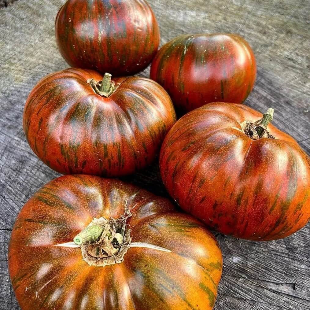 Tomato Seeds – Chocolate Stripes