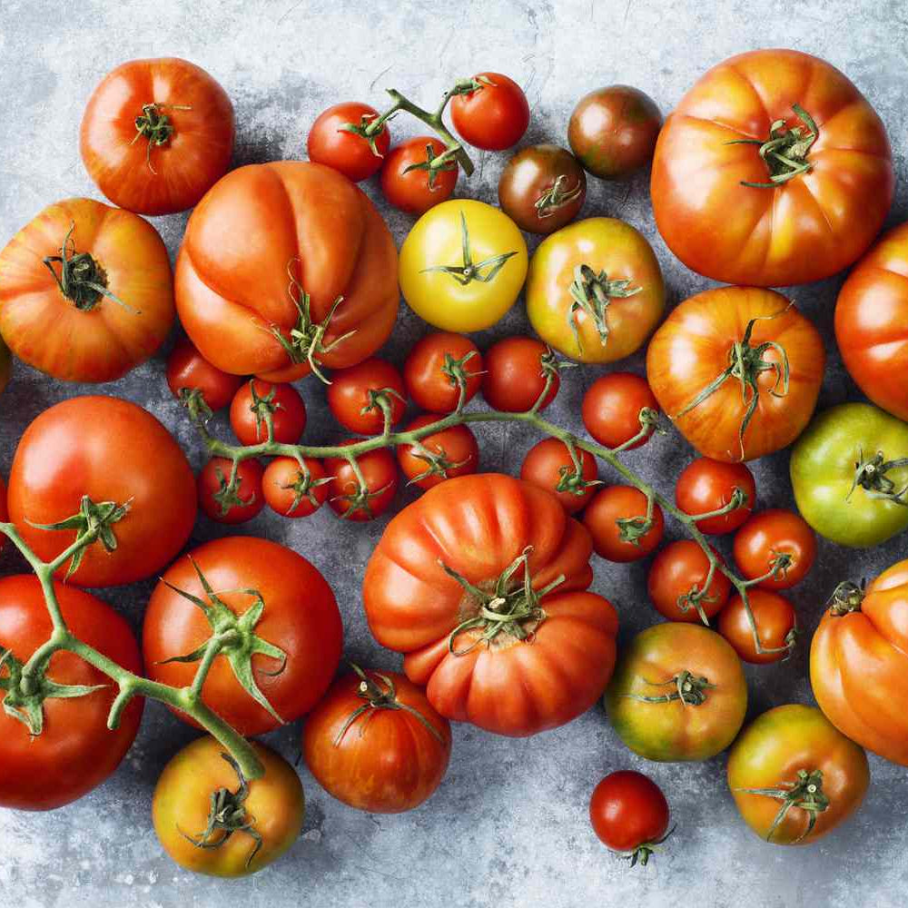 Tomato Seeds – Classic Mix