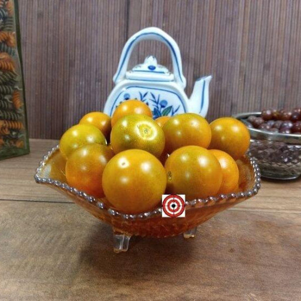 Tomato Seeds – Dark Orange