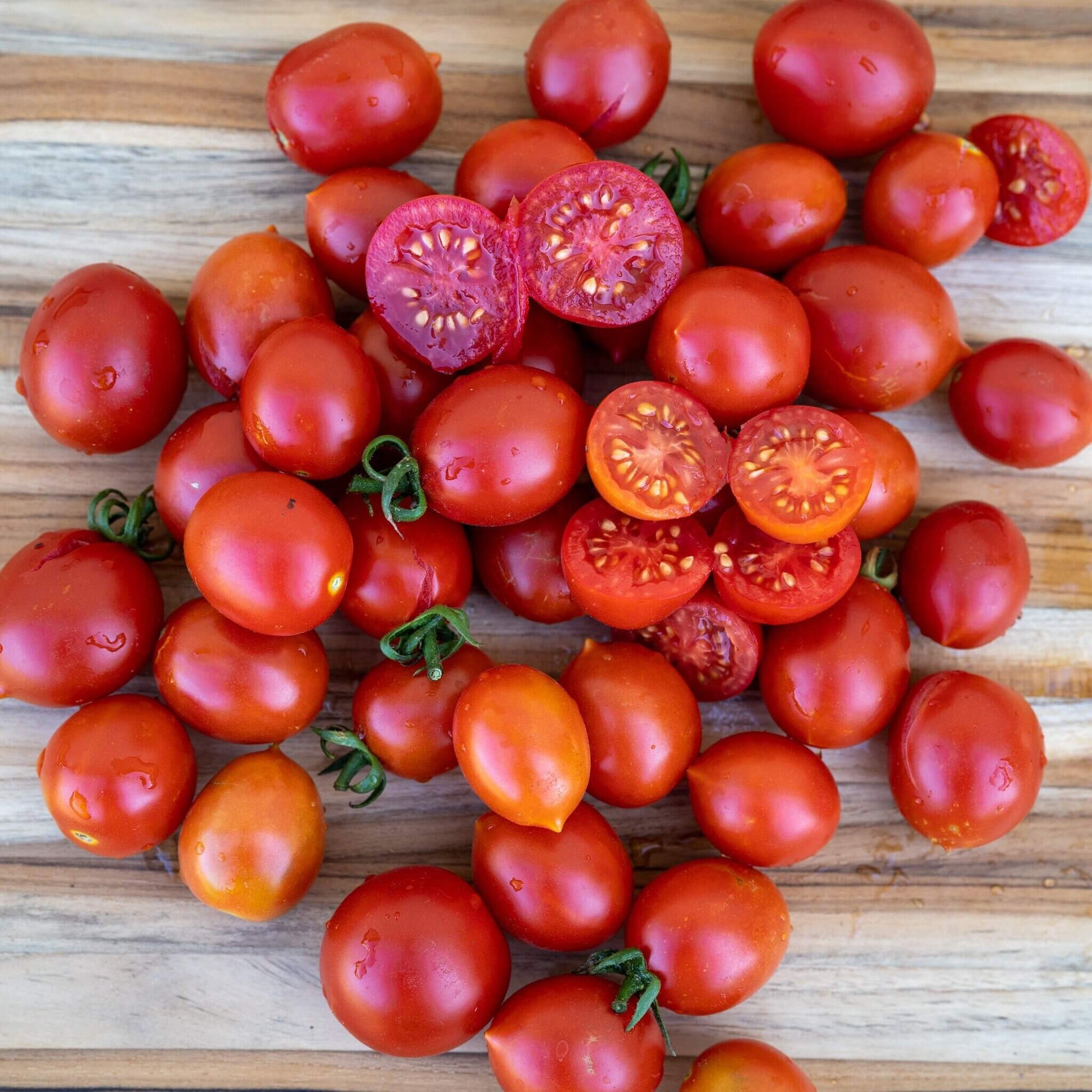 Tomato Seeds – Datterino