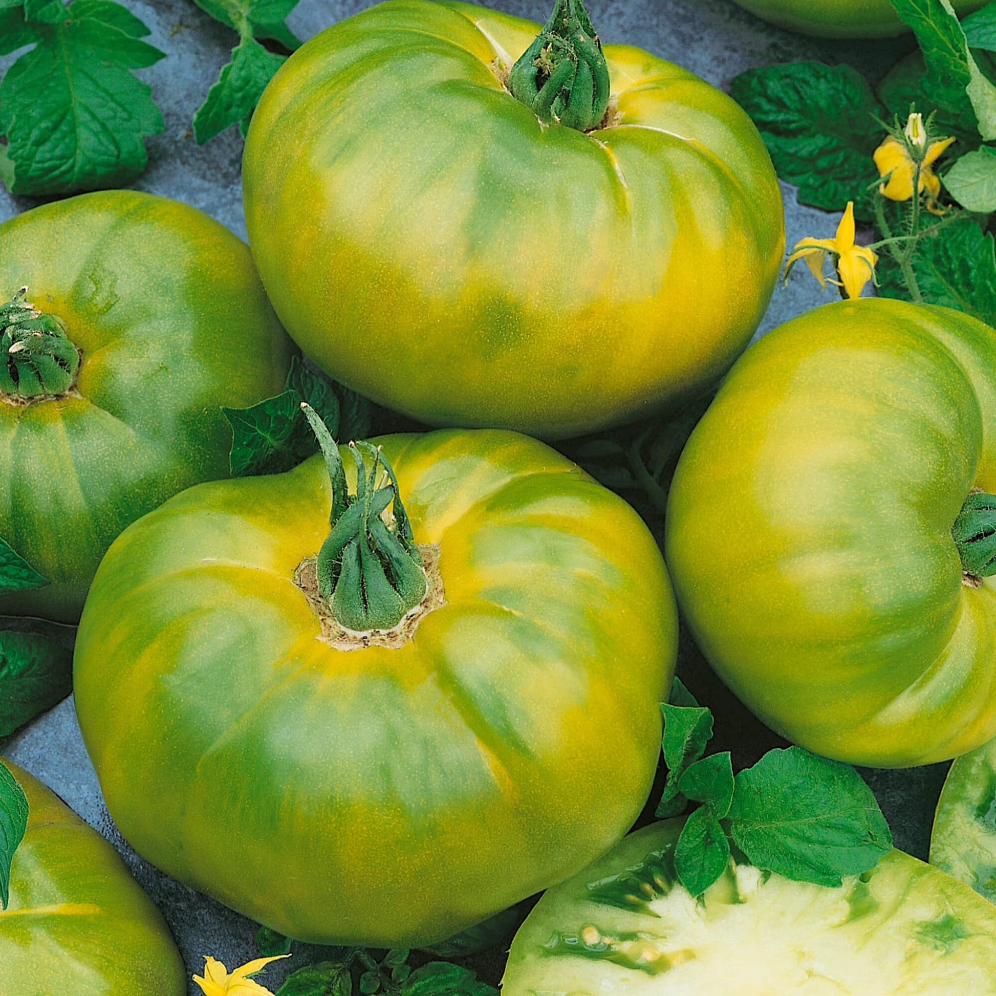 Tomato Seeds – Green Cherokee