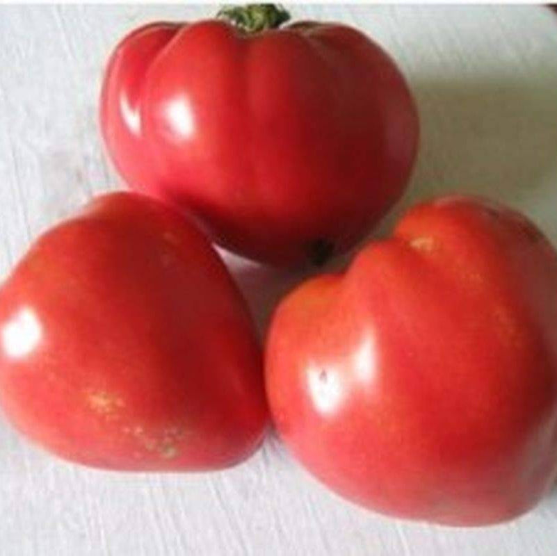 Tomato Seeds – Hungarian Heart