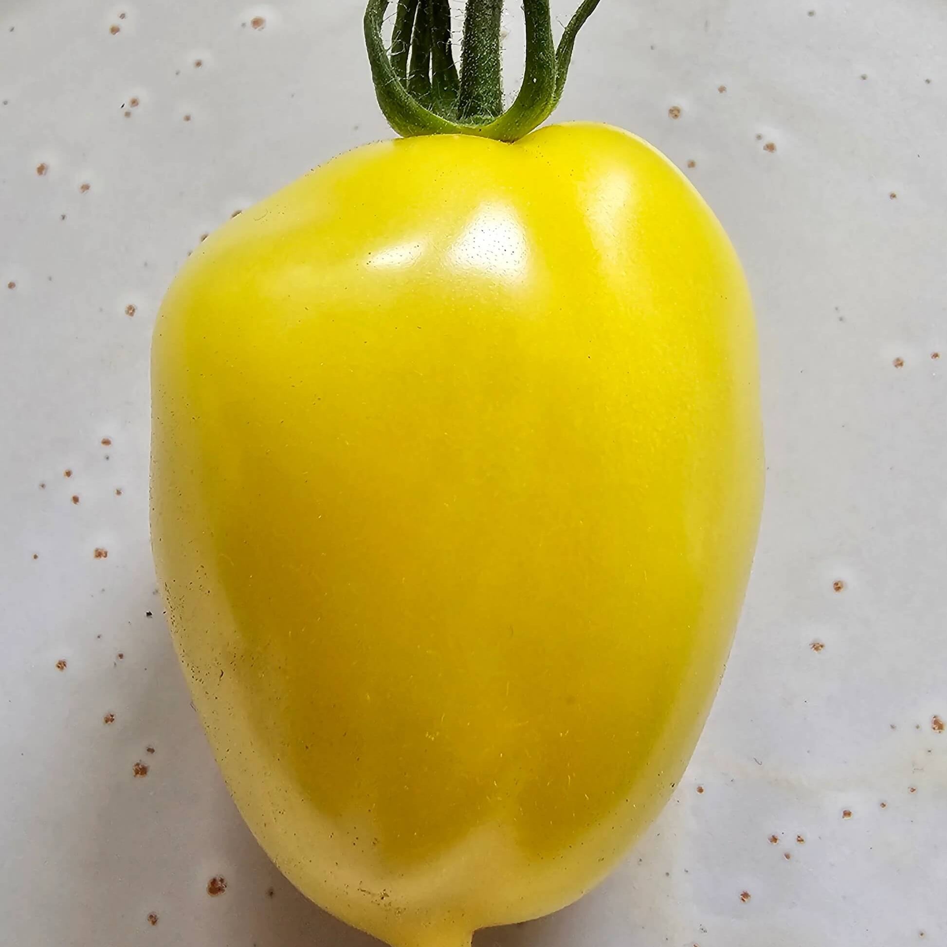 Tomato Seeds – Lemon Tree