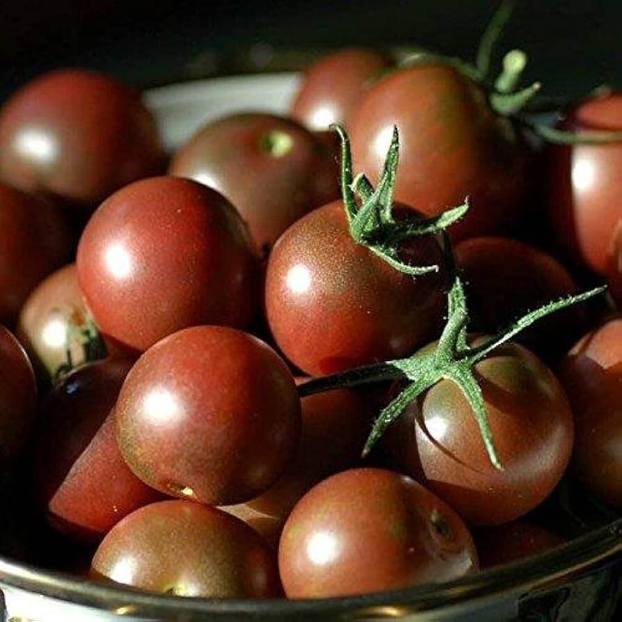 Tomato Seeds – Light Brown