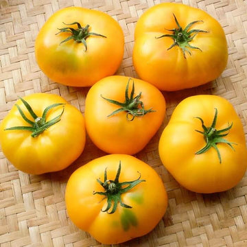 Tomato Seeds – Light Yellow Giant
