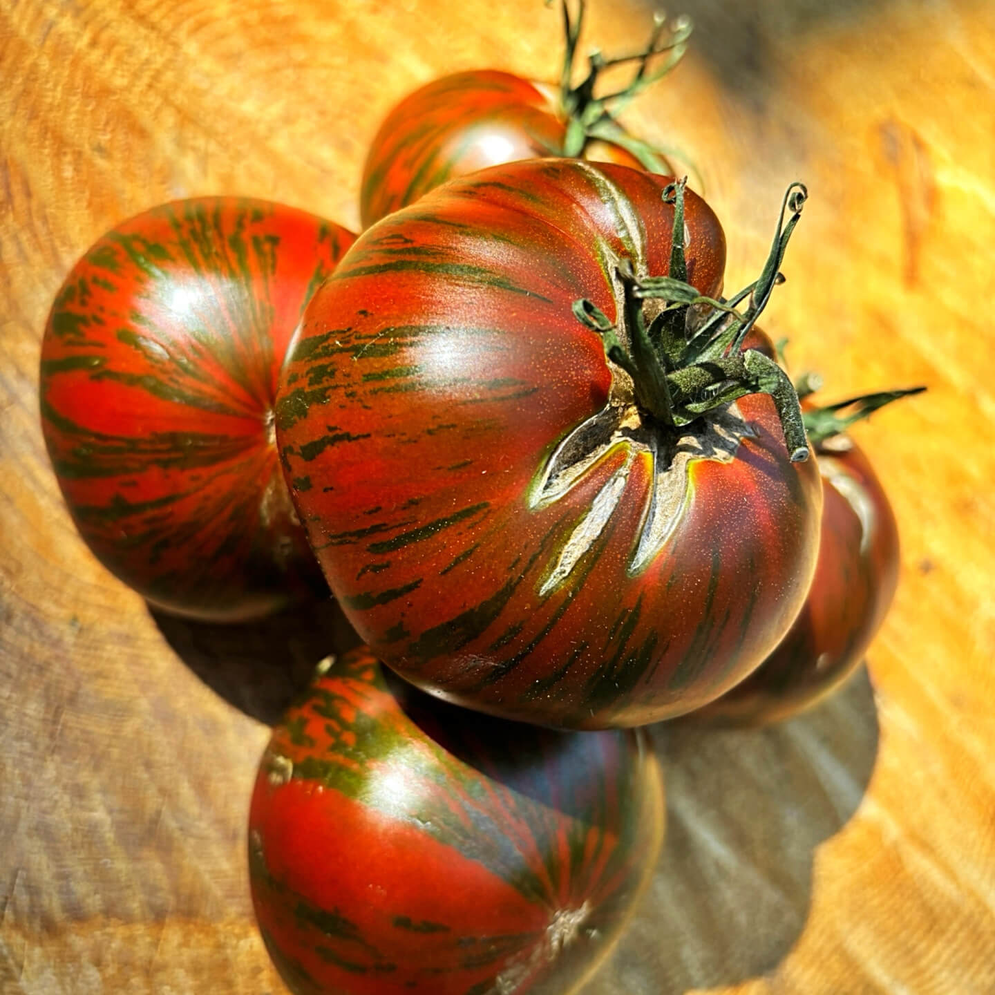 Tomato Seeds – Maroon Red