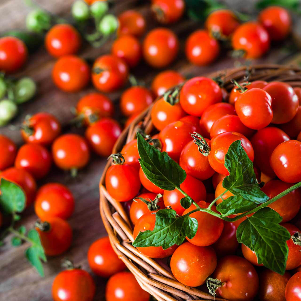 Tomato Seeds – Mexican Silly