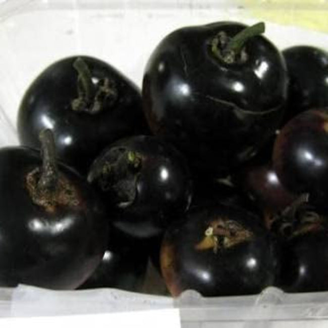 Tomato Seeds – Mixed Black