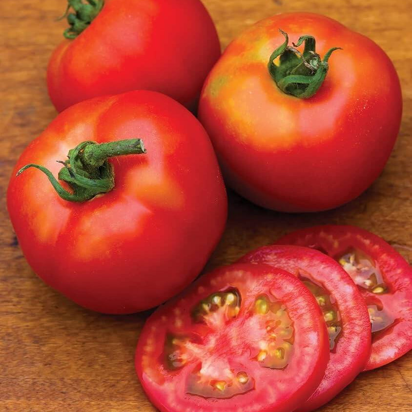 Tomato Seeds – Moonglow