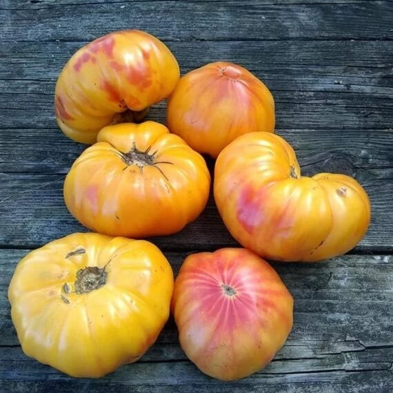 Tomato Seeds – Mr. Stripey