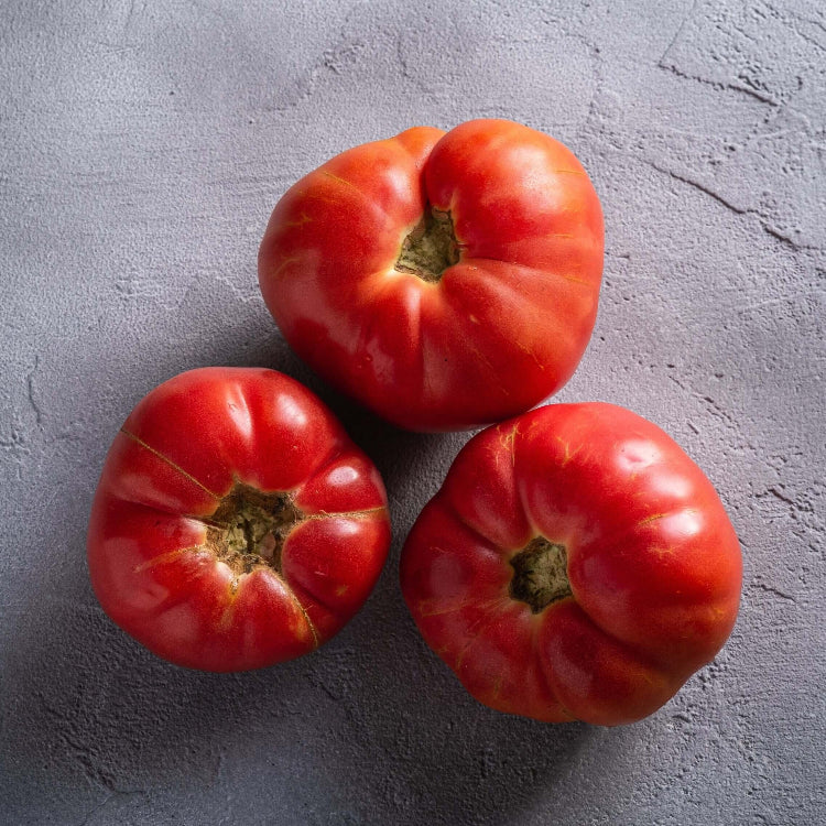 Tomato Seeds – Omar’s Giant