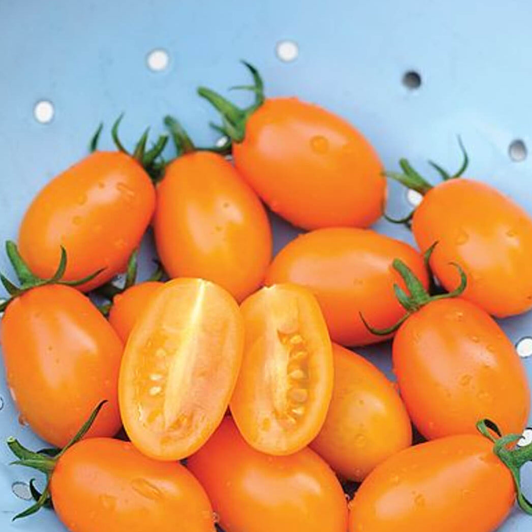 Tomato Seeds – Orange Grape