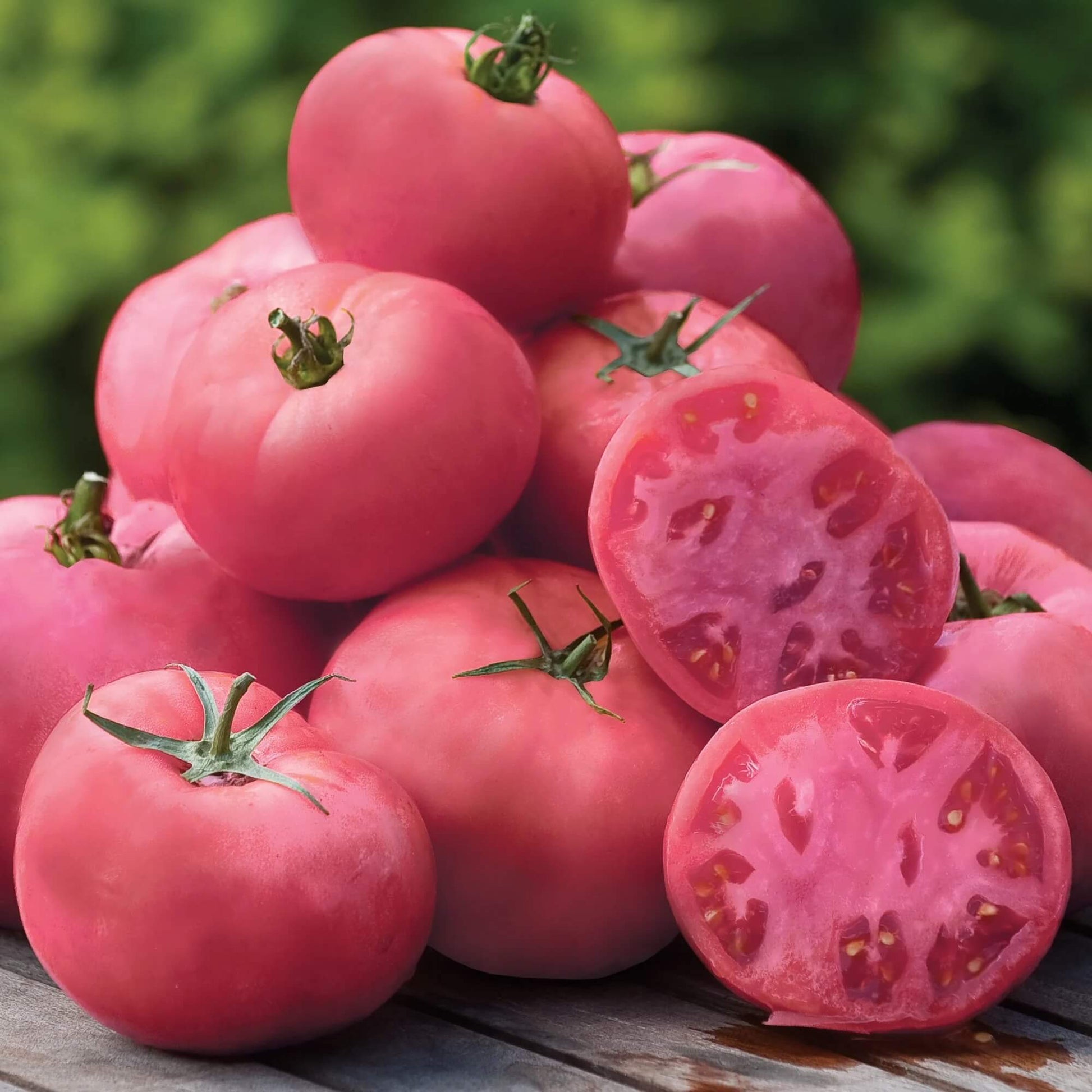 Tomato Seeds – Pale Pink Big