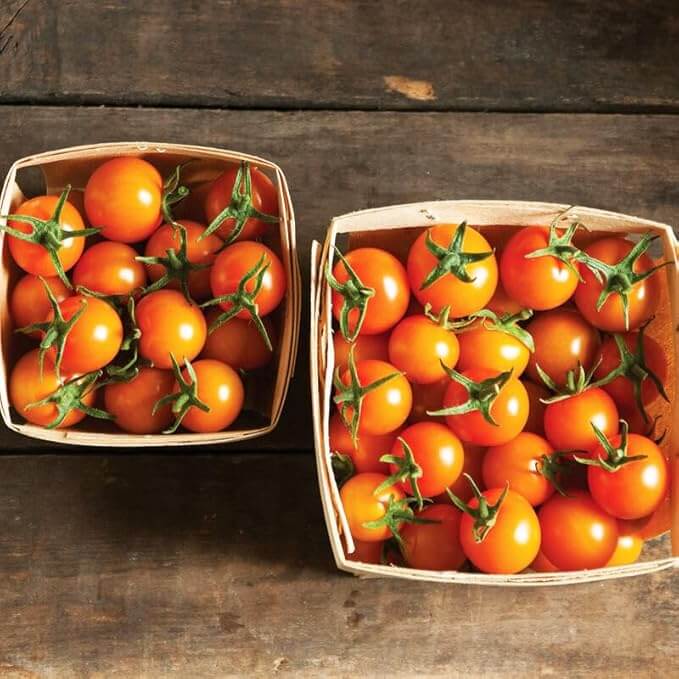 Tomato Seeds – Papadennis