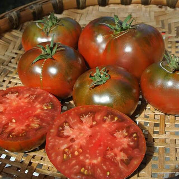 Tomato Seeds – Paul Robeson
