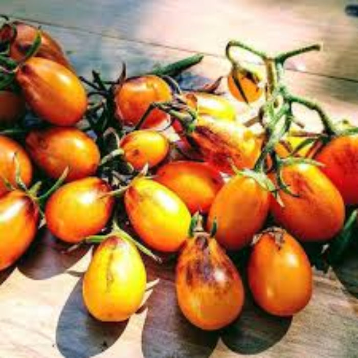 Tomato Seeds – Pear Drops