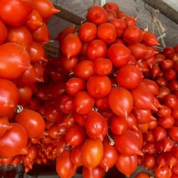 Tomato Seeds – Piennolo
