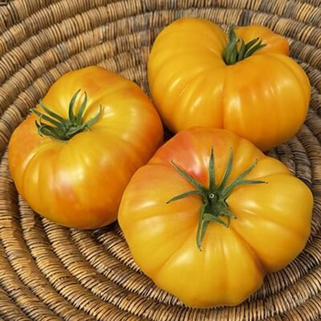 Tomato Seeds – Pineapple