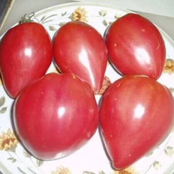 Tomato Seeds – Pink Oxheart