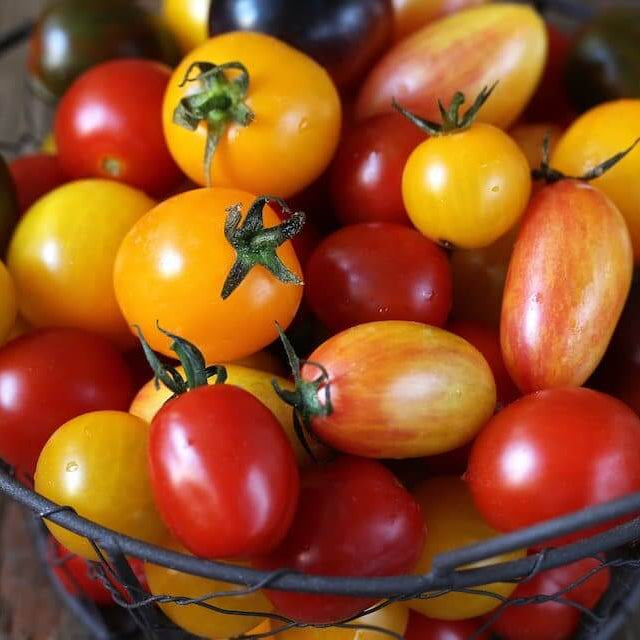 Tomato Seeds – Rainbow Cherry