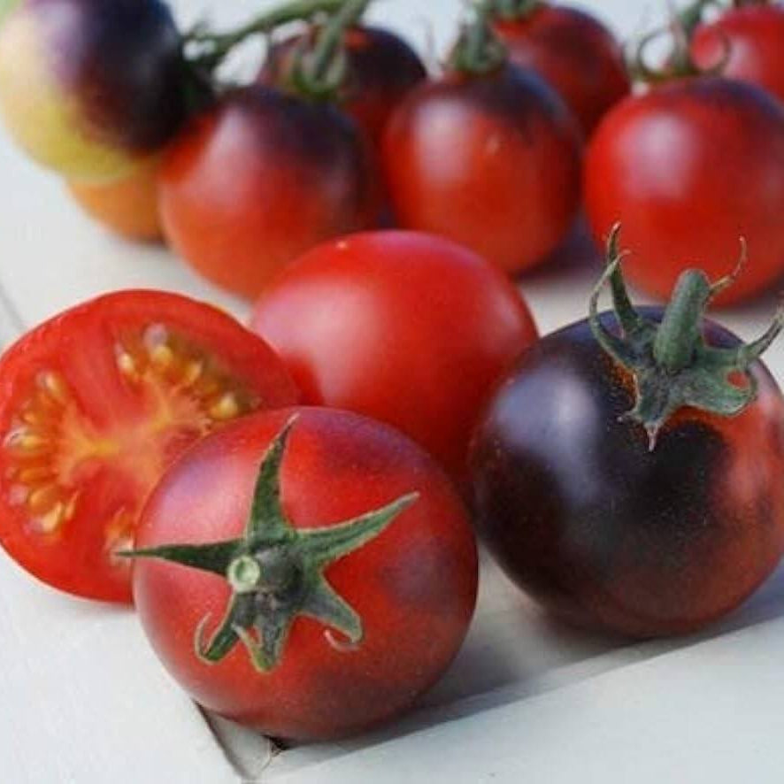 Tomato Seeds – Red Gray