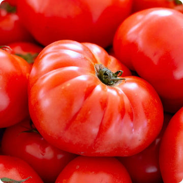 Tomato Seeds – Red Mortgage