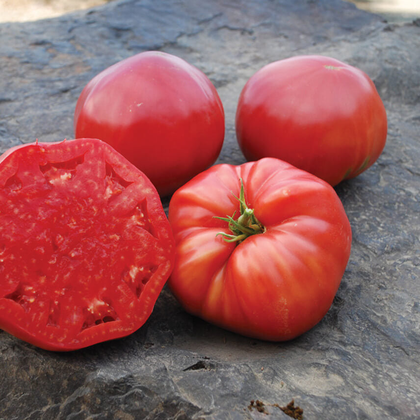 Tomato Seeds – Red Mortgage