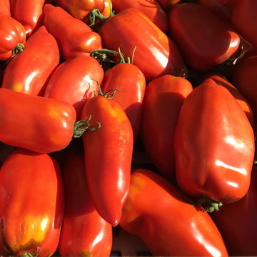 Tomato Seeds – Red Opalka