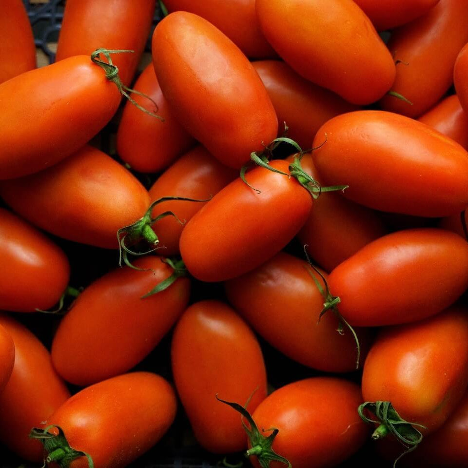 Tomato Seeds – Red San Marzano