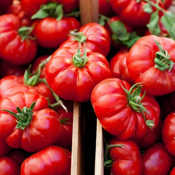 Tomato Seeds – Red Santorini