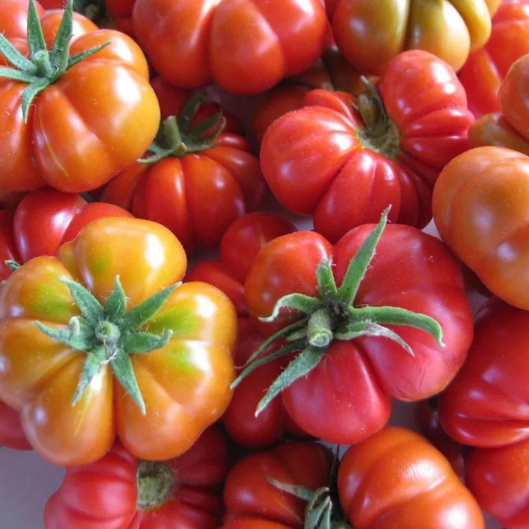 Tomato Seeds – Red Santorini