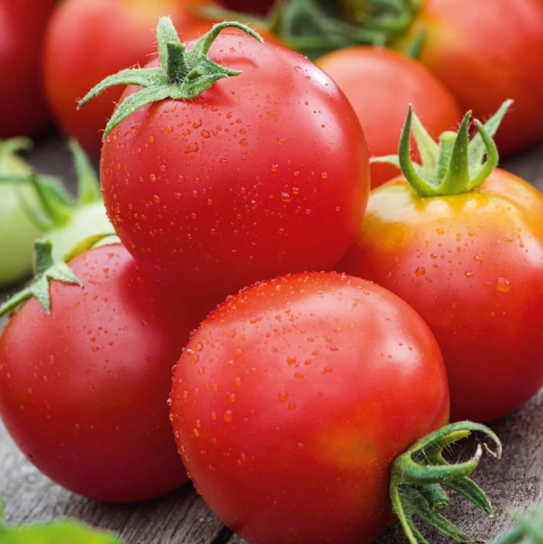 Tomato Seeds – Red Siberian