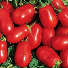 Tomato Seeds – Roma