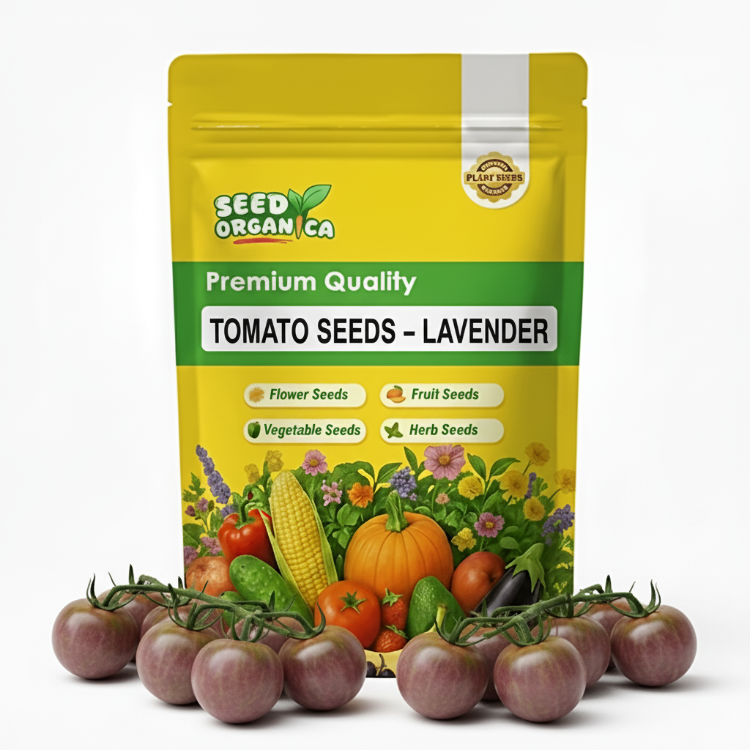 Tomato Seeds - Lavender