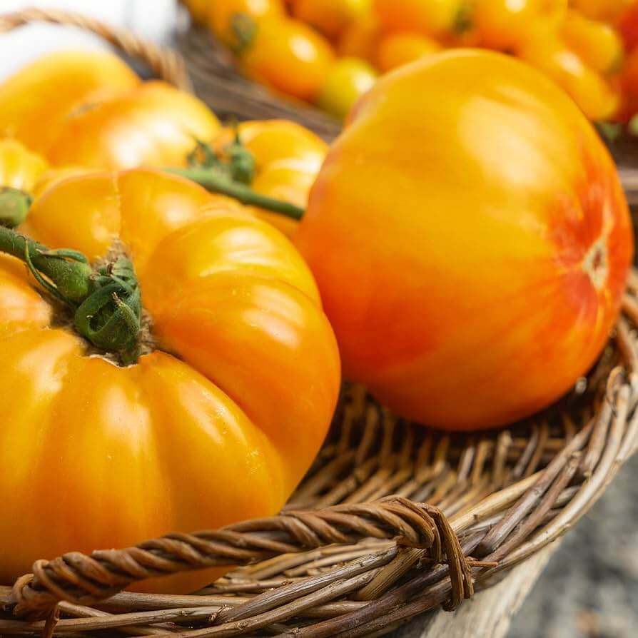 Tomato Seeds – Amana Orange