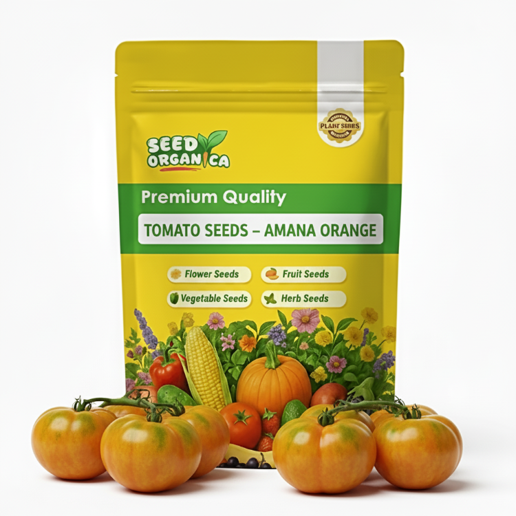 Tomato Seeds – Amana Orange