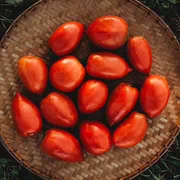 Tomato Seeds – Amish Paste