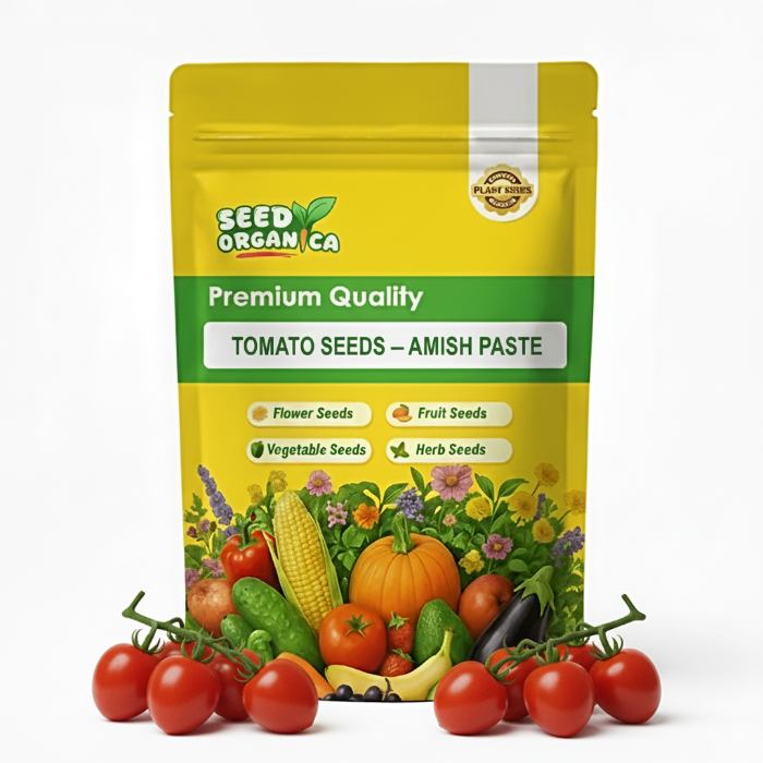 Tomato Seeds – Amish Paste