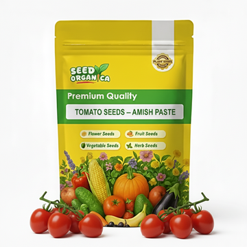 Tomato Seeds – Amish Paste