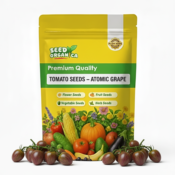 Tomato Seeds – Atomic Grape