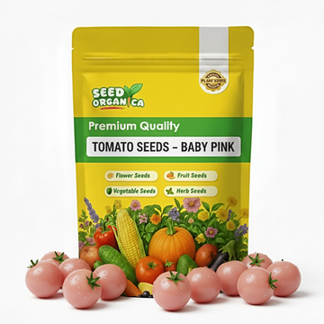 Tomato Seeds – Baby Pink
