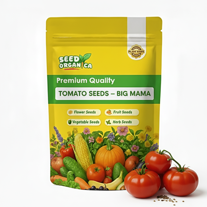 Tomato Seeds – Big Mama 