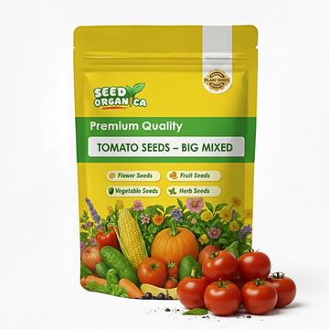 Tomato Seeds – Big Mixed