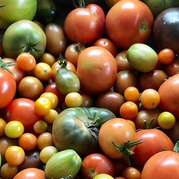 Tomato Seeds – Big Mixed Heirloom