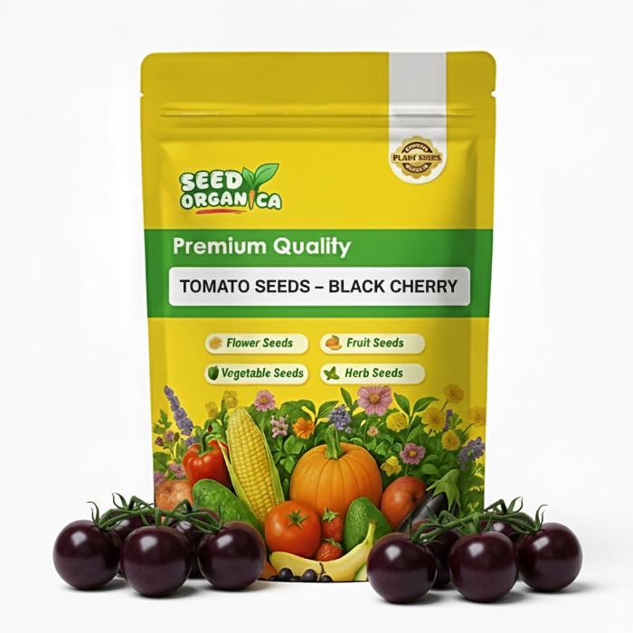 Tomato Seeds – Black Cherry
