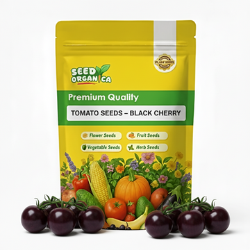 Tomato Seeds – Black Cherry